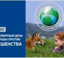 🌍 **Всемирный день борьбы с бешенством!** 🐾